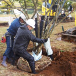 造園工事の写真